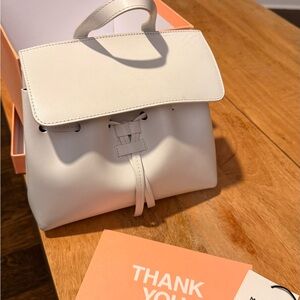 Mansur Gavriel mini lady (not soft) White Crossbody Bag Italian leather